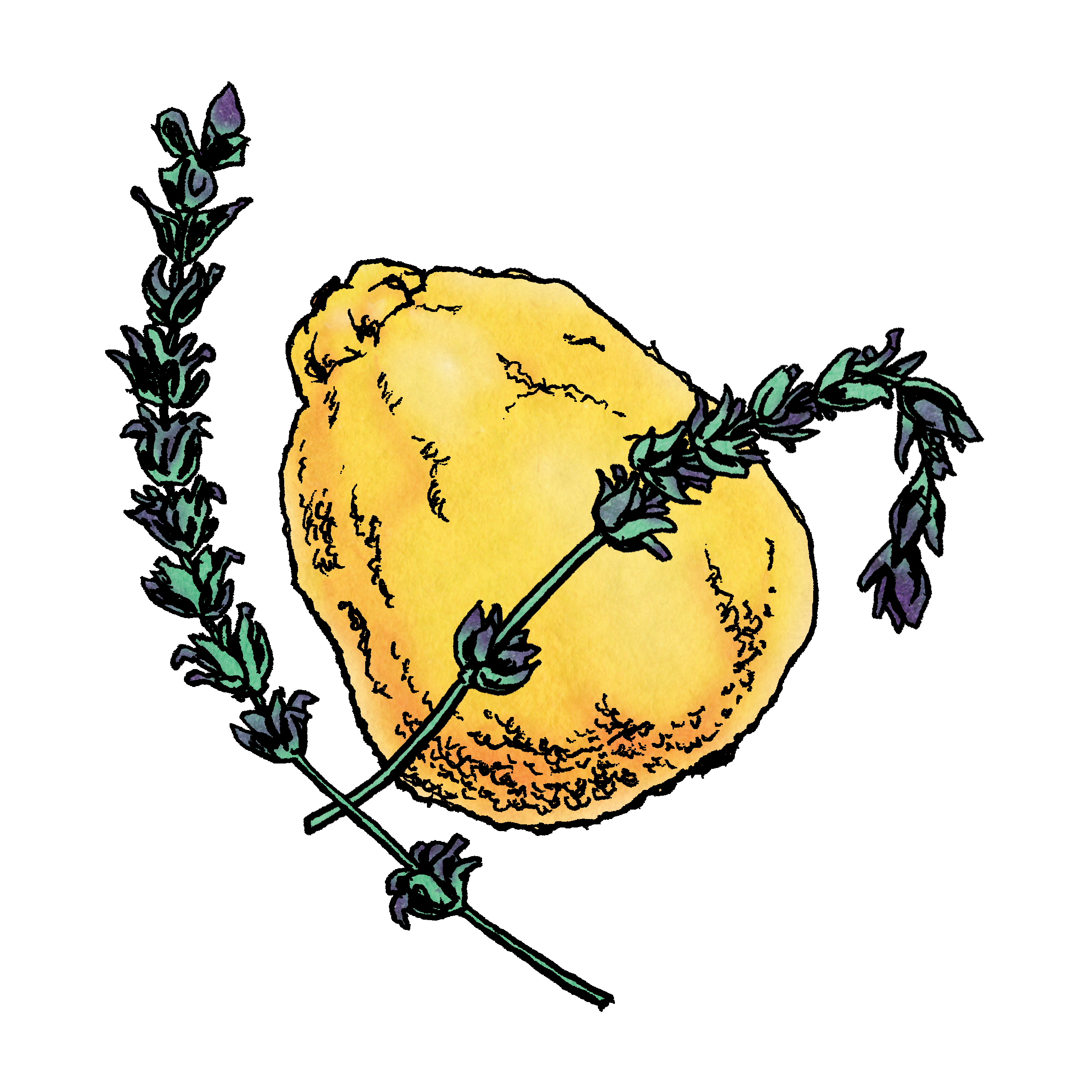 Lavender Bergamot Kitchen